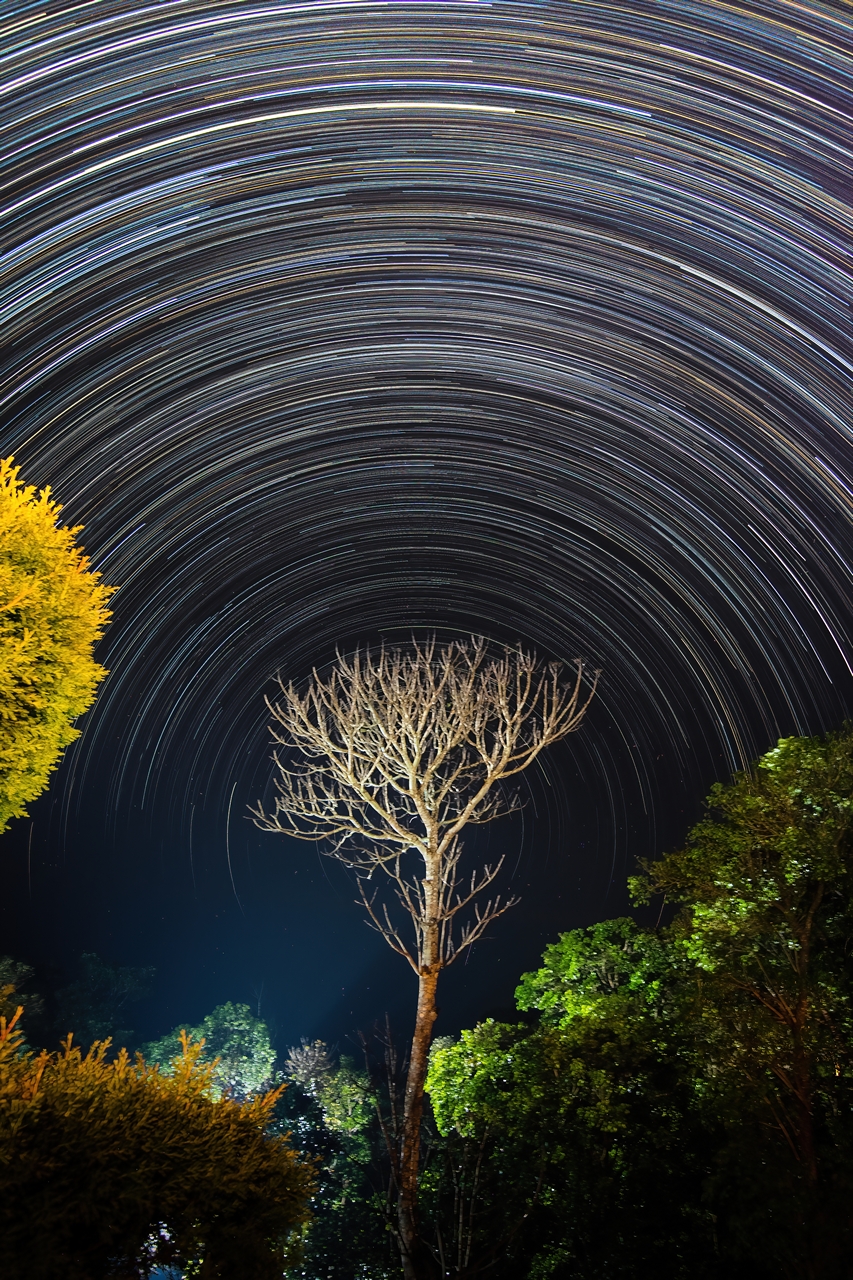 Star Trails 5